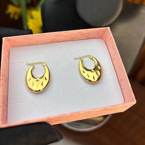 TITANIUM STEEL EARRINGS TRG29