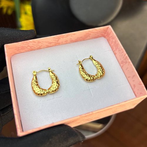 TITANIUM STEEL EARRINGS TRG32