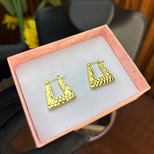 TITANIUM STEEL EARRINGS TRG45