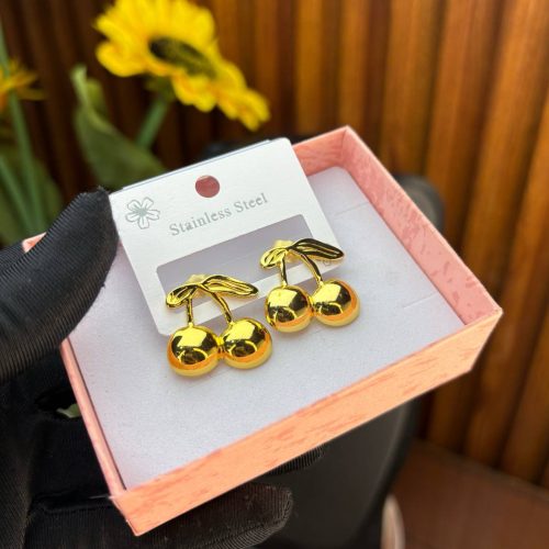 STEEL EARRINGS  TNG01