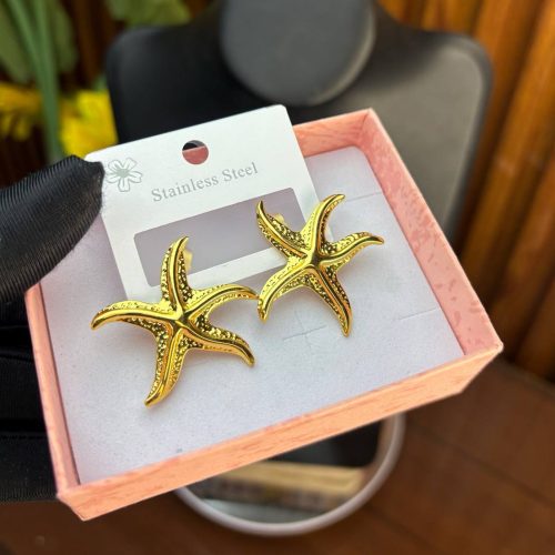 STEEL EARRINGS  TNG02