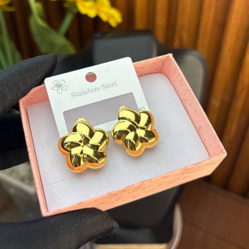 STEEL EARRINGS  TNG27