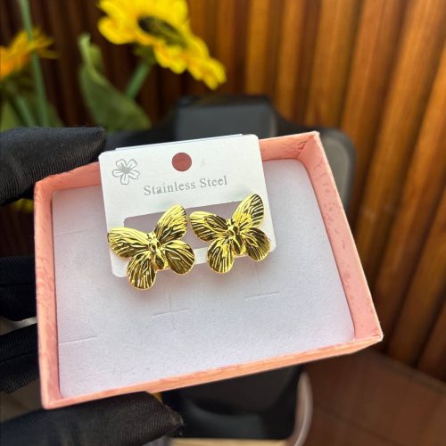 STEEL EARRINGS  TNG29