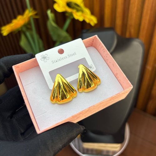 STEEL EARRINGS  TNG31