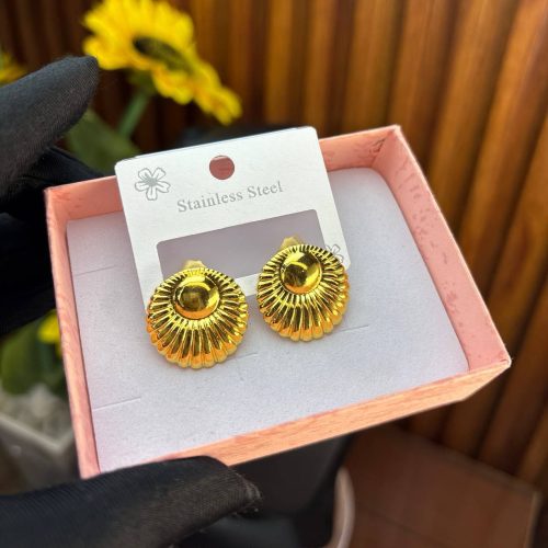 STEEL EARRINGS  TNG32