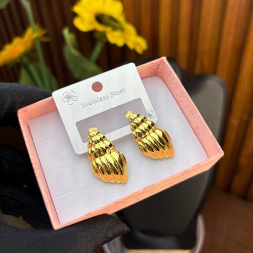 STEEL EARRINGS  TNG33