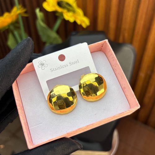 STEEL EARRINGS  TNG41