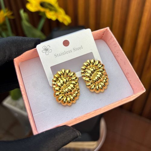 STEEL EARRINGS  TNG42