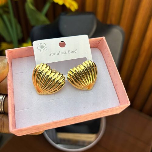 STEEL EARRINGS  TNG43