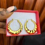 TITANIUM STEEL EARRINGS TNSL05