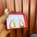 TITANIUM STEEL EARRINGS TNSL08