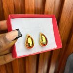 TITANIUM STEEL EARRINGS TNSL09