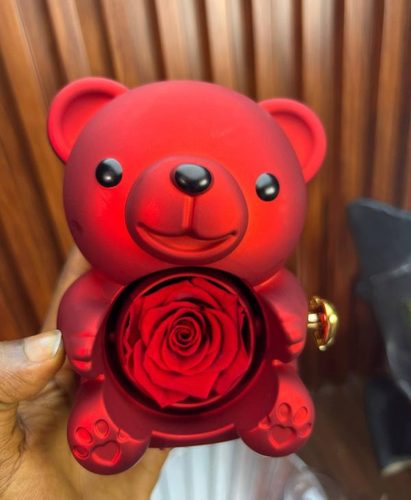 TEDDY BEAR - Image 2