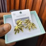 STEEL EARRINGS EAR12