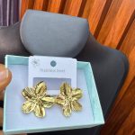 STEEL EARRINGS EAR17