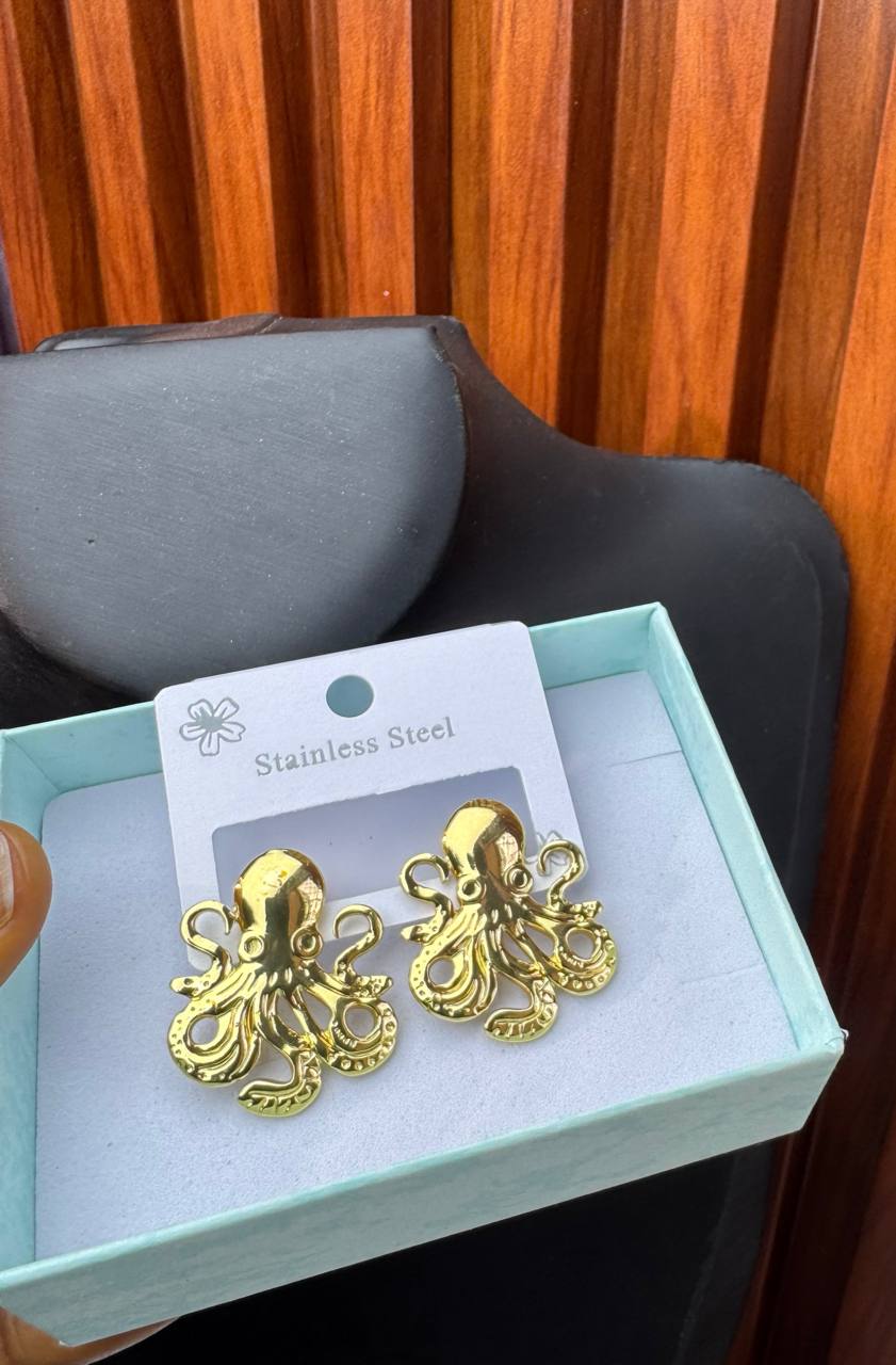 photo_2026-02-17_17-52-22 STEEL EARRINGS EAR19 - Image 1