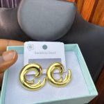 STEEL EARRINGS EAR21