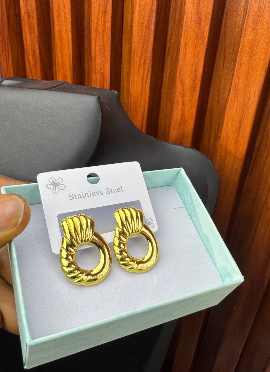 photo_2026-02-17_18-02-58 STEEL EARRINGS EAR25 - Image 1