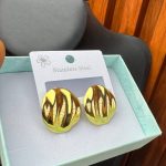 STEEL EARRINGS EAR30