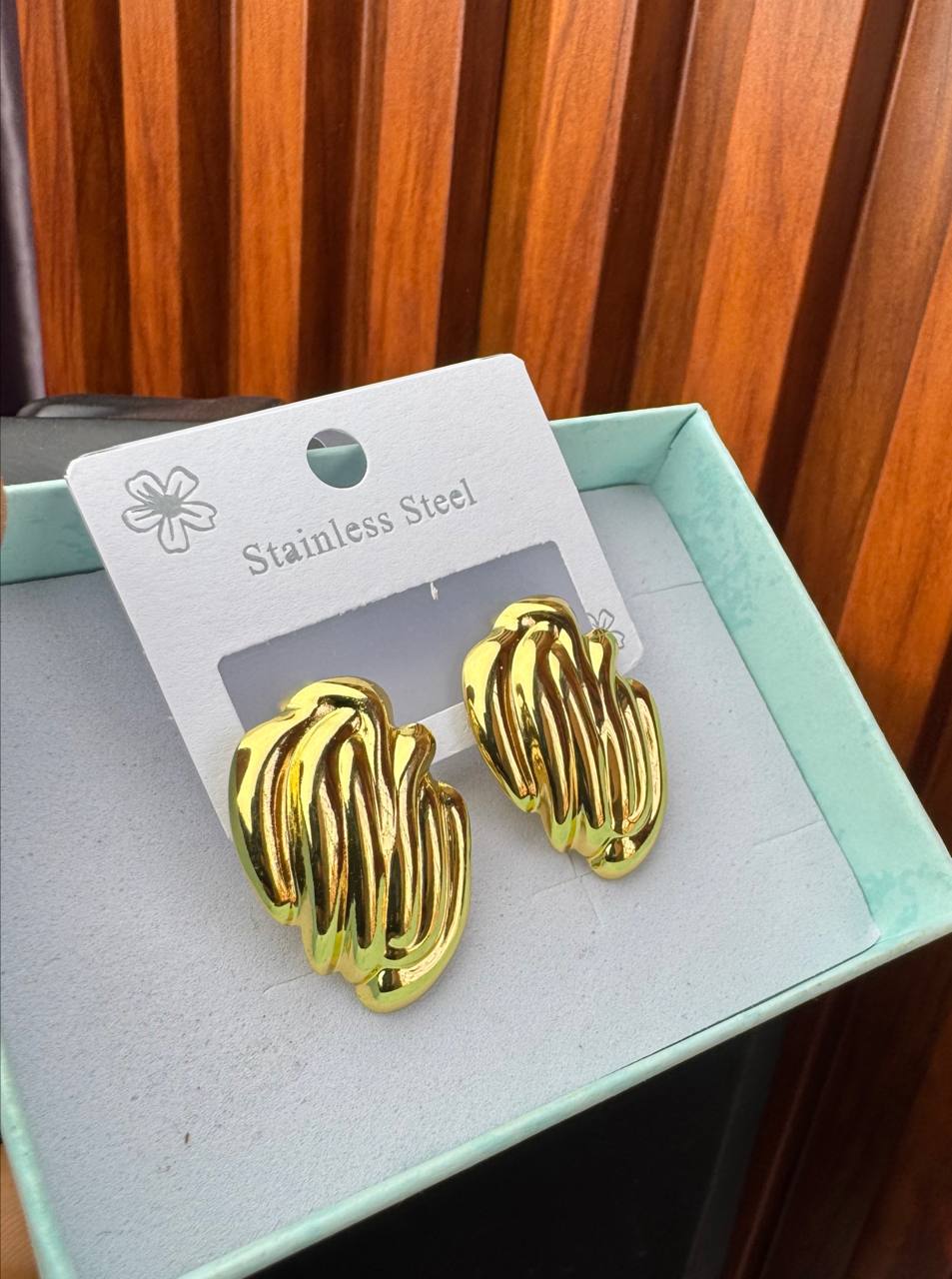 photo_2026-02-17_18-14-53 STEEL EARRINGS EAR33 - Image 1