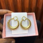 TITANIUM STEEL EARRINGS (VCA) 003