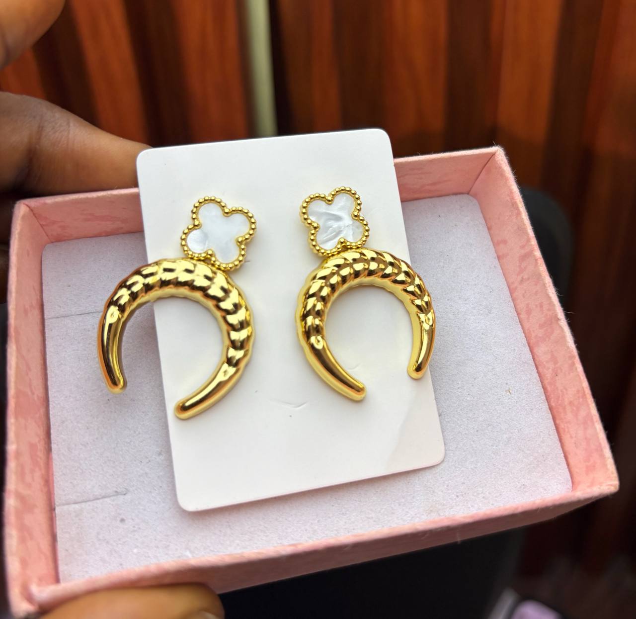 photo_2026-02-20_15-14-11 TITANIUM STEEL EARRINGS (VCA) 012 - Image 1