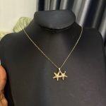 DAINTY NECKLACE DTY021