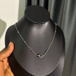 EVERYDAY STEEL  CHAIN EDAY22