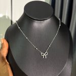 EVERYDAY STEEL  CHAIN EDAY25