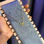 EVERYDAY STEEL  CHAIN EDAY35