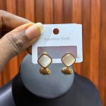 HIGH QUALITY EARRINGS HQE01