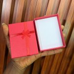 NORMAL JEWELRY BOX