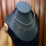 TWO STEP STEEL CHAIN T2PP