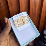 FASHION EARRINGS FSHN19