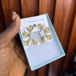 FASHION EARRINGS FSHN34