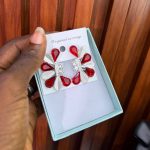 FASHION EARRINGS FSHN36