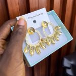 FASHION EARRINGS FSHN41