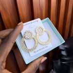 FASHION EARRINGS FSHN43