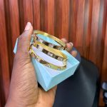 TITANIUM STONED BANGLE TBG01