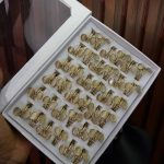 STEEL FASHION RING PACK (NO MIXING) RPCK02