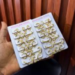 HOOP EARRINGS HPE01